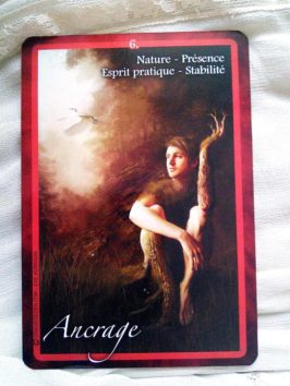 Graine d'Eden - L'Oracle des Chakras Développement personnel, méthodes, livres et jeux. Oracles, Tarot.