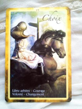 Graine d'Eden - L'Oracle des Chakras Développement personnel, méthodes, livres et jeux. Oracles, Tarot.