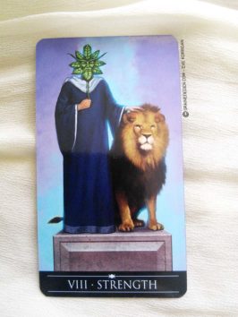 Silver Witchcraft Tarot de Barbara Moore - Graine d'Eden