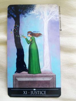 Silver Witchcraft Tarot de Barbara Moore - Graine d'Eden