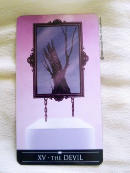 Silver Witchcraft Tarot de Barbara Moore - Graine d'Eden