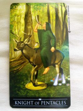 Silver Witchcraft Tarot de Barbara Moore - Graine d'Eden