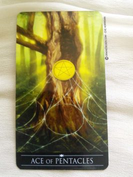 Silver Witchcraft Tarot de Barbara Moore - Graine d'Eden