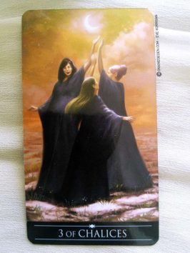 Silver Witchcraft Tarot de Barbara Moore - Graine d'Eden