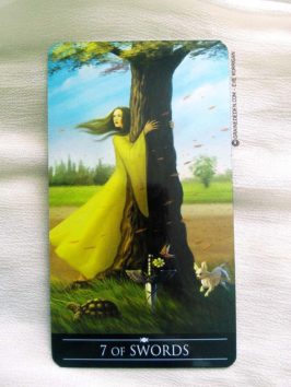 Silver Witchcraft Tarot de Barbara Moore - Graine d'Eden