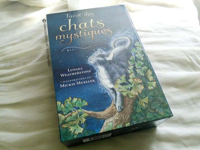 Le Tarot des chats mystiques - Graine d'Eden, review, présentation de jeux de tarots, oracles.