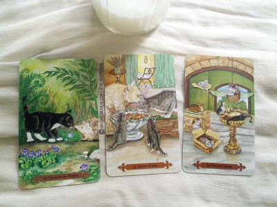 Le Tarot des chats mystiques - Graine d'Eden, review, présentation de jeux de tarots, oracles.