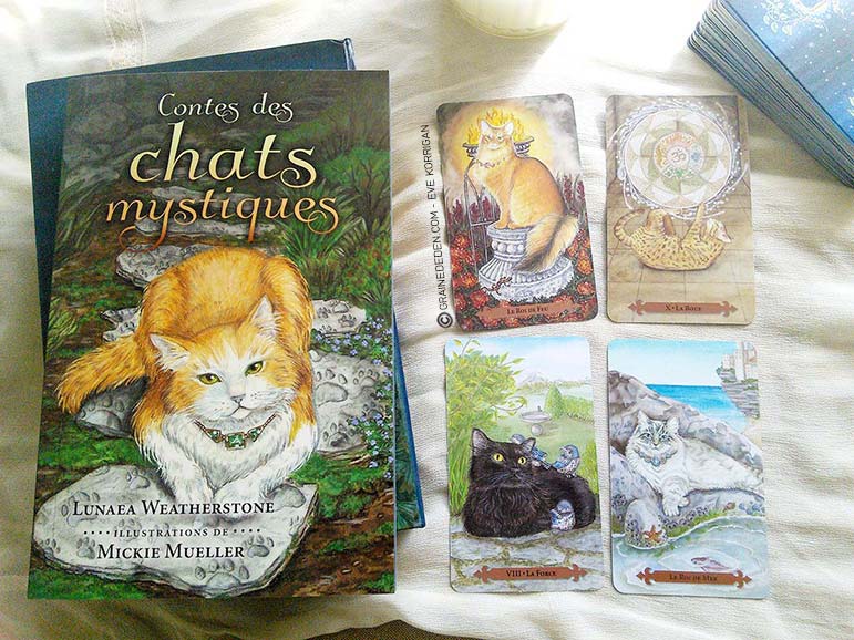 Le Tarot des chats mystiques - Graine d'Eden, review, présentation de jeux de tarots, oracles.