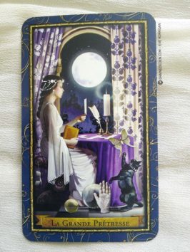 Le Tarot des Magiciens - Graine d'Eden