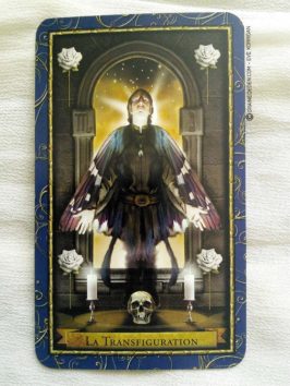 Le Tarot des Magiciens - Graine d'Eden