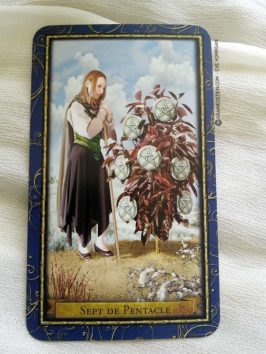 Le Tarot des Magiciens - Graine d'Eden