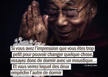 Si vous avez l'impression que vous êtes trop petit pour pouvoir changer quelque chose. Essayez donc de dormir avec un moustique... et vous verrez lequel des deux empêche l'autre de dormir. Le DALAI LAMA - Graine d'Eden citation