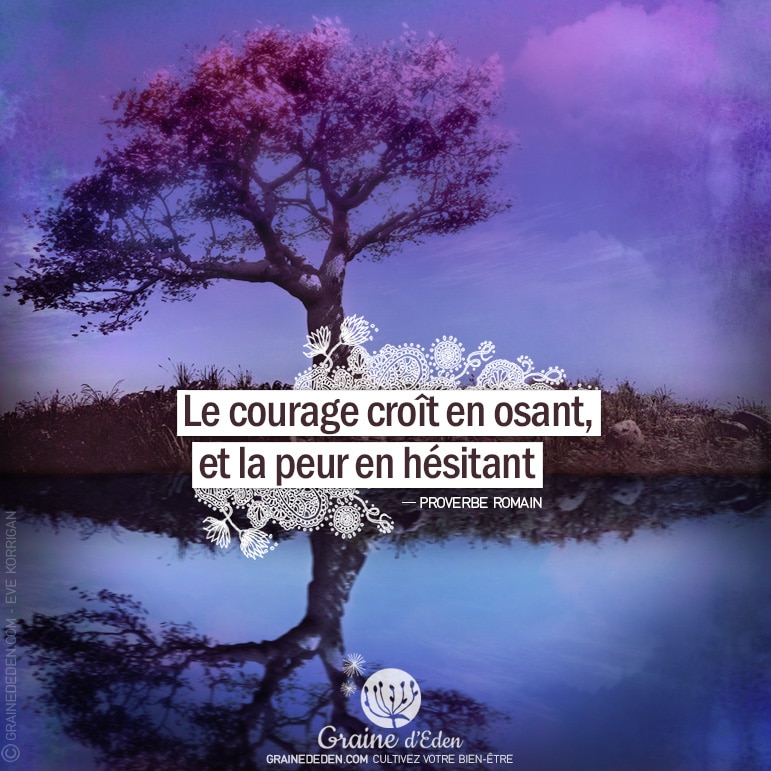 Graine d'Eden - Citation Proverbe Romain - Le courage croît en osant, et la peur en hésitant.