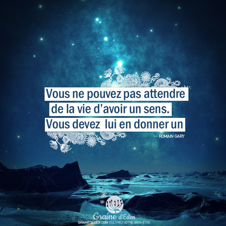 Graine d'Eden - Citation Romain Gary - Vous ne pouvez pas attendre de la vie d'avoir un sens. Vous devez lui en donner un.