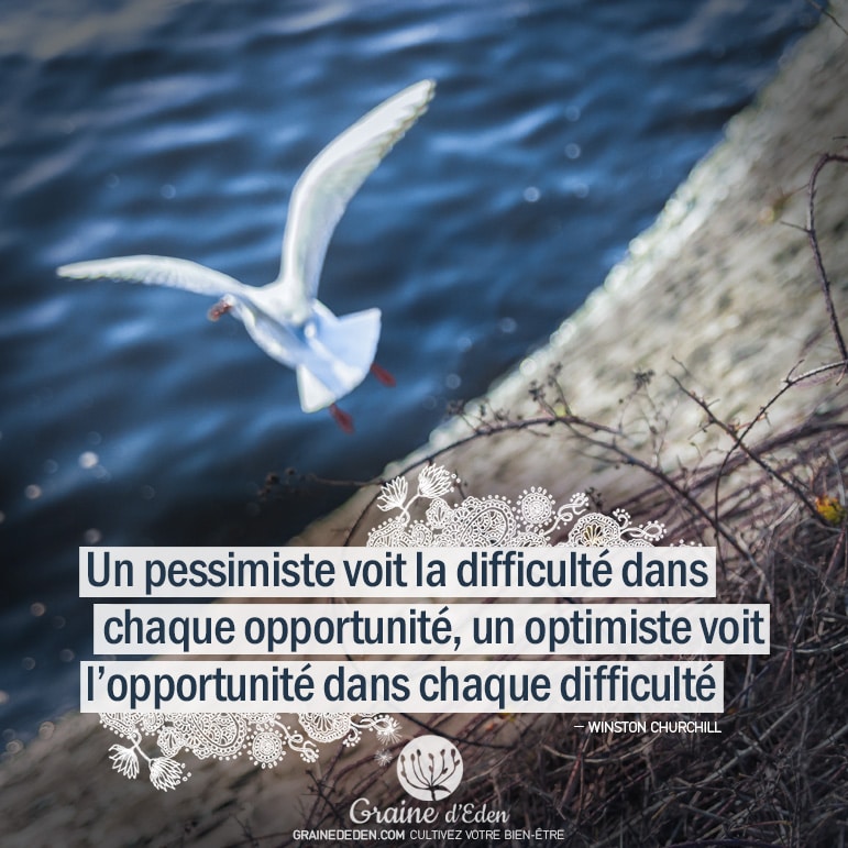 Un pessimiste voit la difficulté dans chaque opportunité, un optimiste voit l'opportunité dans chaque difficulté. Winston Churchill - Graine d'Eden citations