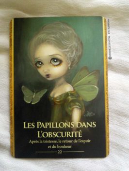 L'Oracle des Métamorphes de Lucy Cavendish - Graine d'Eden