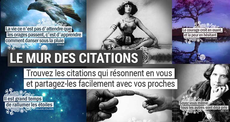 Graine d'Eden - Le mur des citations. Partagez facilement avec ceux que vous estimez les citations que vous aimez.