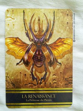 L'Oracle d'Isis de Alana Fairchild - Graine d'Eden Tarot et Oracle divinatoires - Revues, cours ..