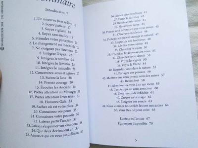 Oracle du Messager de Ravynne Phelan- Graine d'Eden la bibliothèque des cartes Oracle divinatoires, revue, review, présentation de Tarot et Oracle Divinatoires