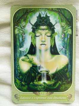 Oracle du Messager de Ravynne Phelan- Graine d'Eden la bibliothèque des cartes Oracle divinatoires, revue, review, présentation de Tarot et Oracle Divinatoires