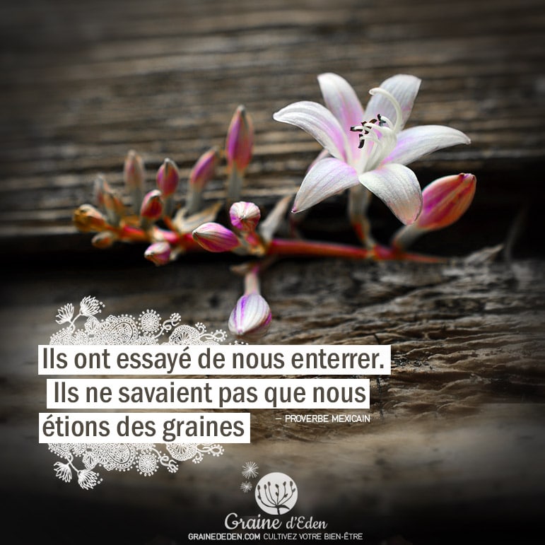 Ils ont essayé de nous enterrer. Ils ne savaient pas que nous étions des graines. PROVERBE MEXICAIN - Graine d'Eden citation