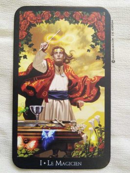 Le Tarot des Sorcières de Ellen Dugan et Mark Evans - Graine d'Eden la bibliothèque des Tarots, revue, review, présentation de Tarot et Oracle Divinatoires