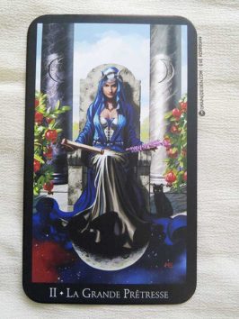 Le Tarot des Sorcières de Ellen Dugan et Mark Evans - Graine d'Eden la bibliothèque des Tarots, revue, review, présentation de Tarot et Oracle Divinatoires