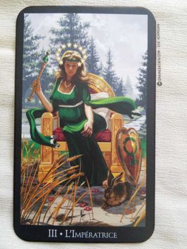 Le Tarot des Sorcières de Ellen Dugan et Mark Evans - Graine d'Eden la bibliothèque des Tarots, revue, review, présentation de Tarot et Oracle Divinatoires