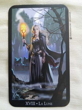 Le Tarot des Sorcières de Ellen Dugan et Mark Evans - Graine d'Eden la bibliothèque des Tarots, revue, review, présentation de Tarot et Oracle Divinatoires