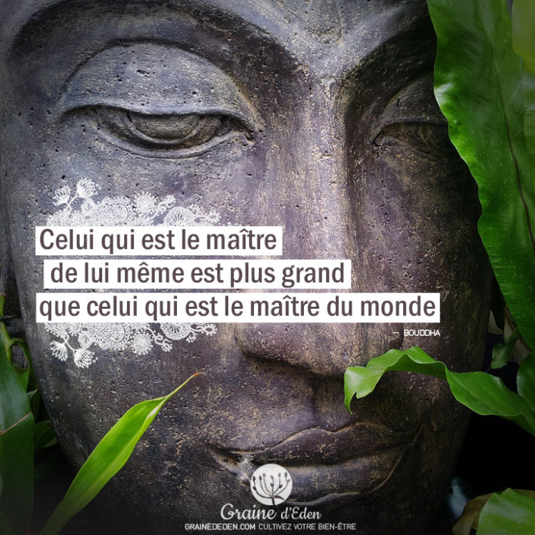 Celui qui est le maître de lui-même est plus grand que celui qui est le maître du monde. BOUDDHA - Graine d'Eden Citation