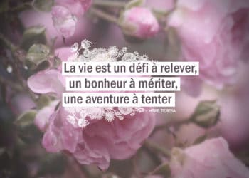 La vie est un défi à relever, un bonheur à mériter, une aventure à tenter. MÈRE TÉRÉSA Citation. Graine d’Eden citation