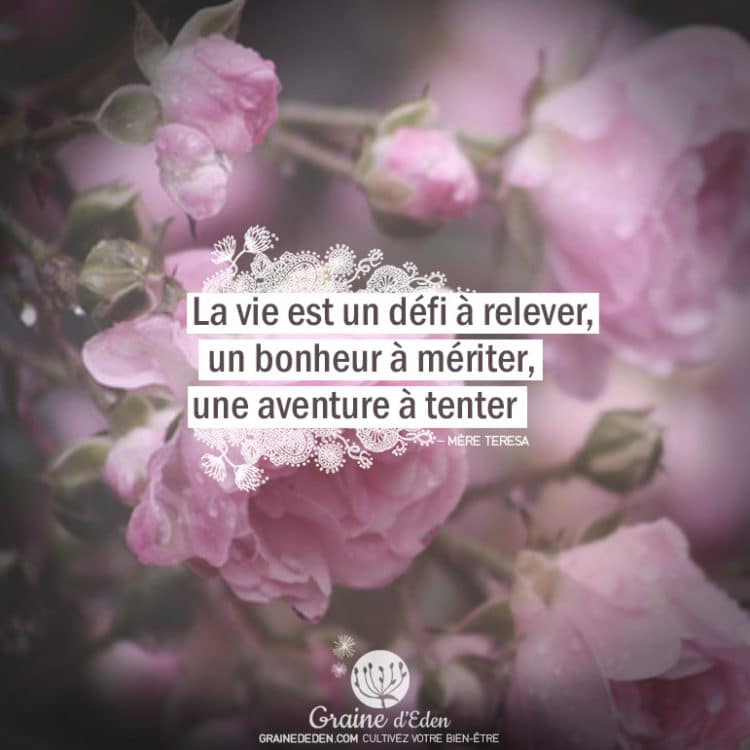 La vie est un défi à relever, un bonheur à mériter, une aventure à tenter. MÈRE TÉRÉSA Citation. Graine d’Eden citation