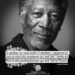 Si quelqu'un vous traite d'amateur, rappelez-lui que ce sont des amateurs qui ont fait l'Arche de Noé et des professionnels qui ont fait le Titanic. MORGAN FREEMAN - Graine d'Eden Citations