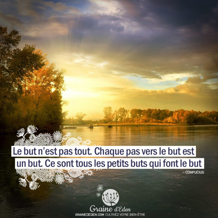 Le but n'est pas tout. Chaque pas vers le but est un but. Ce sont tous les petits buts qui font le but. CONFUCIUS - Graine d'Eden