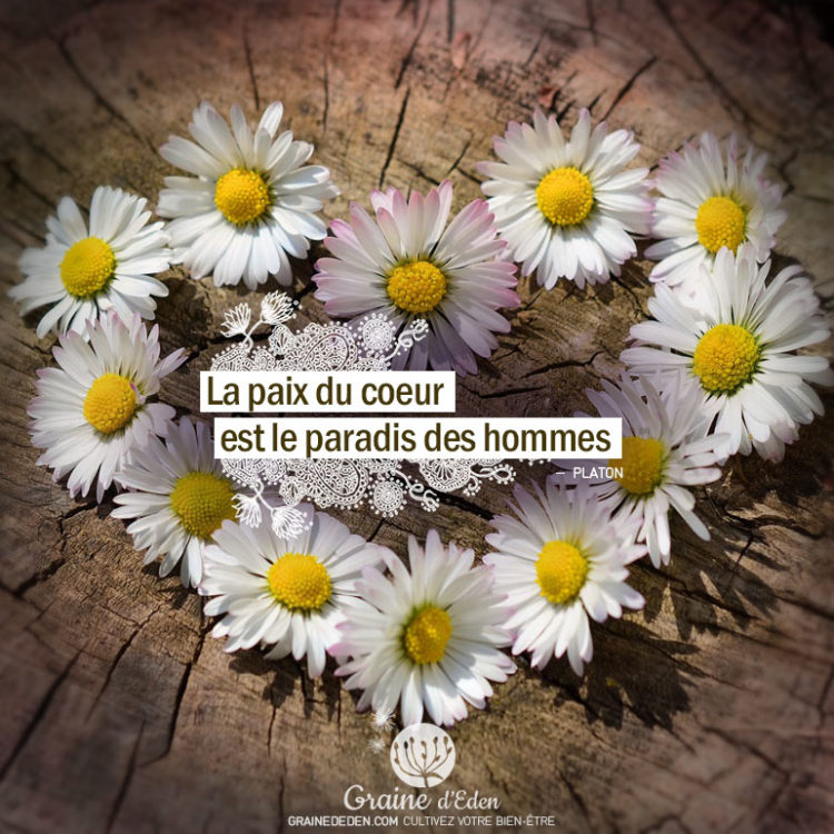 La paix du cœur est le paradis des hommes. PLATON - Graine d'Eden Citation