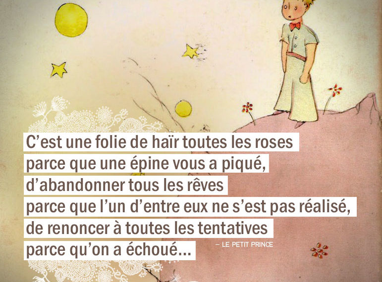 C Est Une Folie De Haïr Toutes Les Roses