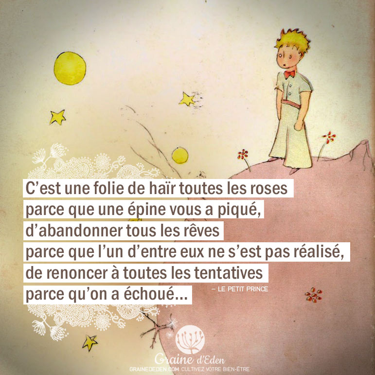 Le petit prince de St Exupéry - Page 2 Citation-Le-petit-prince