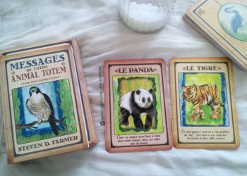 Messages de votre animal totem - Graine d'Eden review et présentation de cartes oracle divinatoire, de tarot divinatoire.