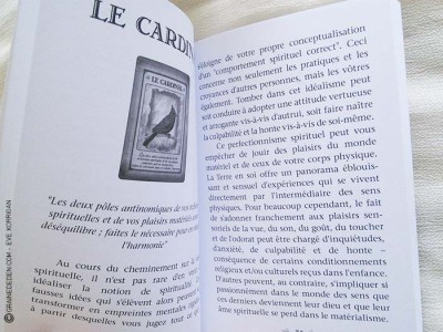 Messages de votre animal totem - Graine d'Eden review et présentation de cartes oracle divinatoire, de tarot divinatoire.