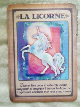 Messages de votre animal totem - Graine d'Eden review et présentation de cartes oracle divinatoire, de tarot divinatoire.