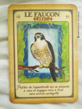 Messages de votre animal totem - Graine d'Eden review et présentation de cartes oracle divinatoire, de tarot divinatoire.