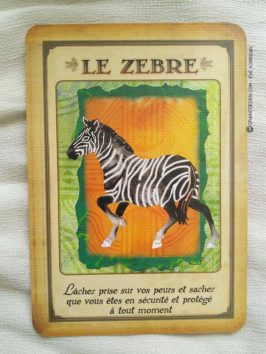 Messages de votre animal totem - Graine d'Eden review et présentation de cartes oracle divinatoire, de tarot divinatoire.