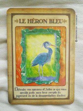 Messages de votre animal totem - Graine d'Eden review et présentation de cartes oracle divinatoire, de tarot divinatoire.