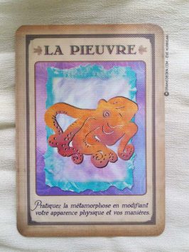 Messages de votre animal totem - Graine d'Eden review et présentation de cartes oracle divinatoire, de tarot divinatoire.