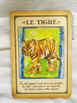 Messages de votre animal totem - Graine d'Eden review et présentation de cartes oracle divinatoire, de tarot divinatoire.