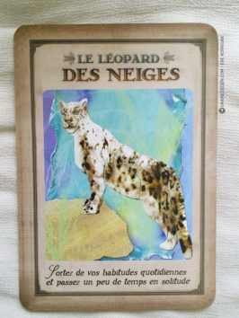 Messages de votre animal totem - Graine d'Eden review et présentation de cartes oracle divinatoire, de tarot divinatoire.