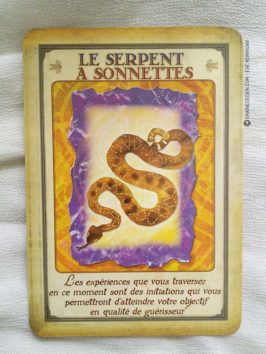 Messages de votre animal totem - Graine d'Eden review et présentation de cartes oracle divinatoire, de tarot divinatoire.