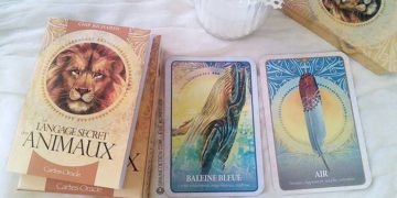 Les cartes Oracle le langage secret des animaux de Chip Richards - Graine d'Eden review et présentation de cartes oracle divinatoire, de tarot divinatoire.