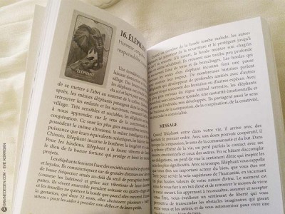 Graine d'Eden review et présentation de cartes oracle divinatoire, de tarot divinatoire.