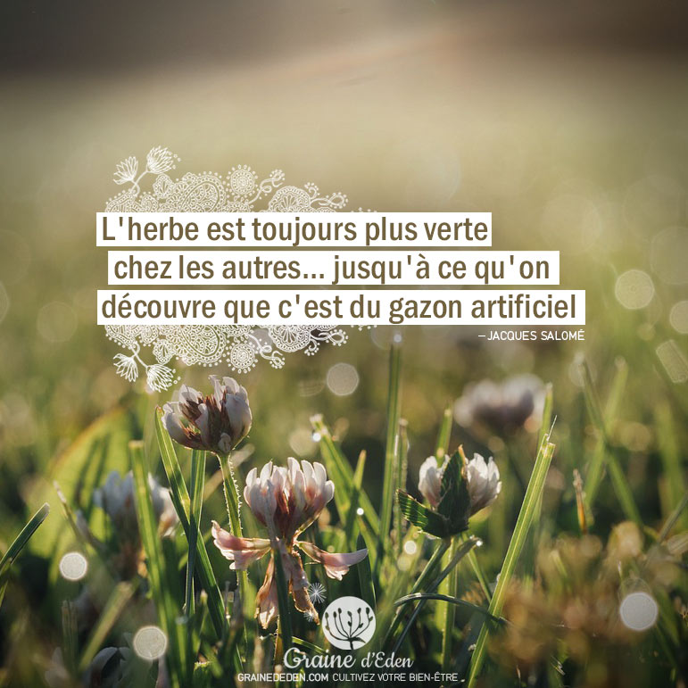 L'herbe est toujours plus verte chez les autres... jusqu'à ce qu'on découvre que c'est du gazon artificiel. JACQUES SALOME - Graine d'Eden Citation